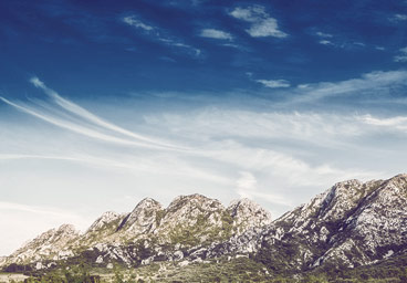 在线电话轰炸云呼死你