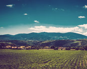 会员账号便宜的在线手机号压力测试